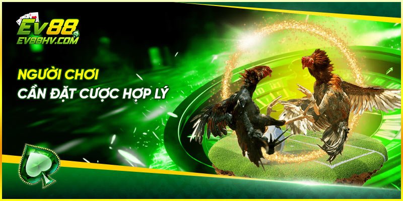 Cả quá trình trận đấu diễn ra minh bạch