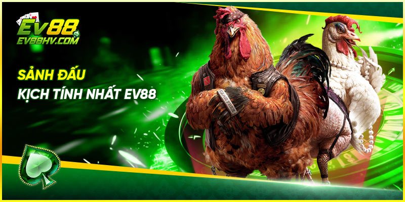 Sảnh đá gà được yêu thích nhất tại EV88