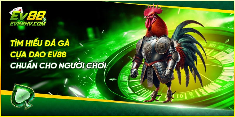 Tìm Hiểu Đá Gà Cựa Dao EV88 Chuẩn Cho Người Chơi