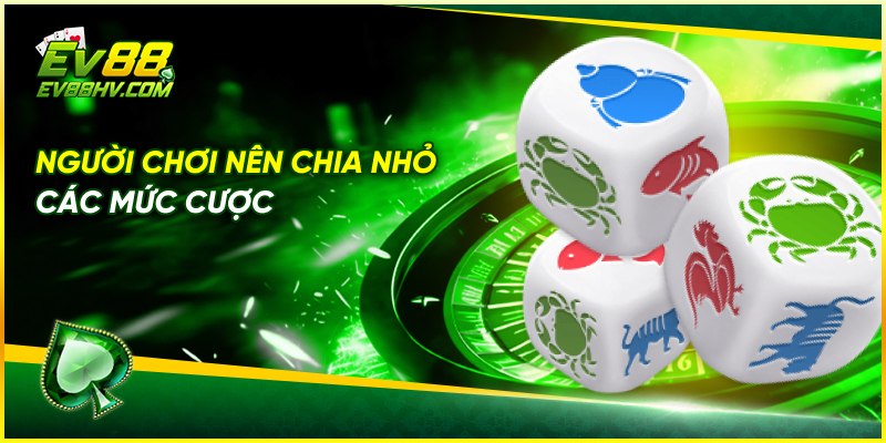Người chơi nên chia nhỏ các mức cược